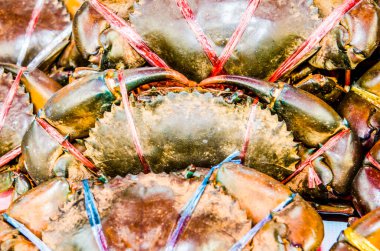 Tayland 'daki deniz ürünleri pazarında taze yengeç.