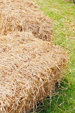 Tayland 'da yeşil çimlerde pipet.