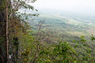 Tayland 'ın Lampang bölgesindeki ağaçlar, mağaralar ve Pan şehri.