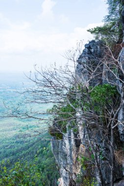 Tayland 'ın Lampang bölgesindeki ağaçlar, mağaralar ve Pan şehri.