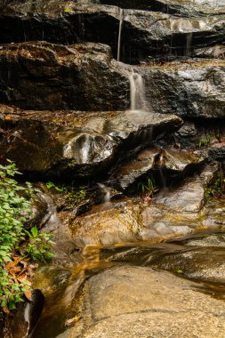 Thailand 'daki Doi Suthep Pui Ulusal Parkı' ndaki Şelaleden.