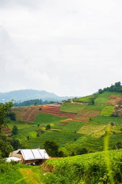 Tayland, Tayland 'da doğal manzara.