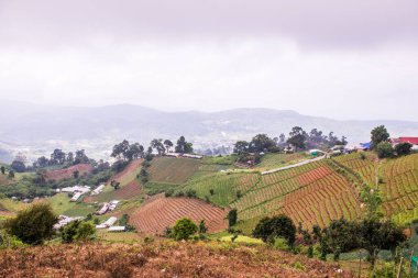 Tayland, Tayland ve Tayland 'da doğal manzara..