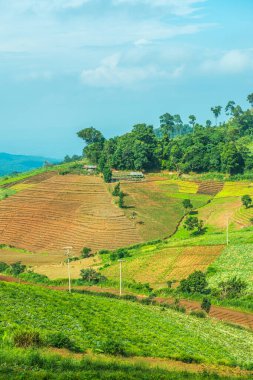 Tayland, Tayland 'da doğal manzara.