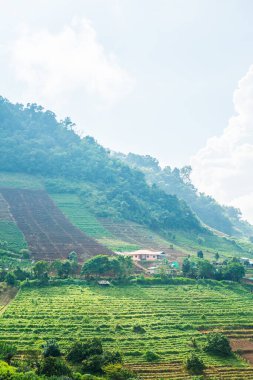 Tayland, Tayland 'da doğal manzara.