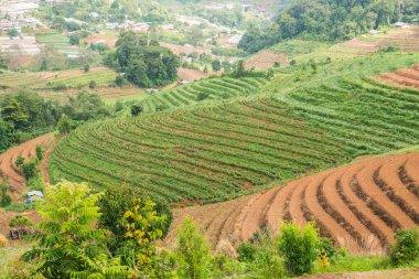 Tayland, Tayland 'da doğal manzara.