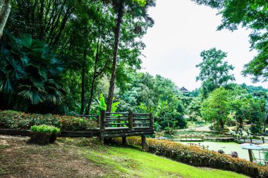Mae Fah Luang bahçesinin manzarası, Tayland.
