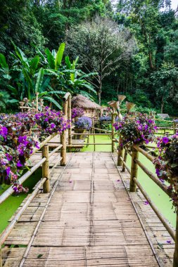 Mae Fah Luang bahçesinin manzarası, Tayland.