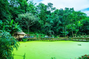 Mae Fah Luang bahçesinin manzarası, Tayland.