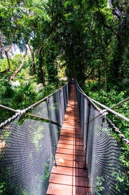 Mae Fah Luang Bahçesinde Ağaç Tepesi Yürüyüşü, Chiang Rai.