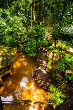 Mae Fah Luang Garden, Tayland 'daki en iyi park manzarası..