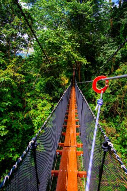 Mae Fah Luang Bahçesinde Ağaç Tepesi Yürüyüşü, Chiang Rai.