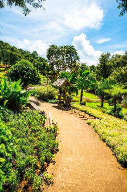 Chiang Rai bölgesindeki Mae Fah Luang Bahçesi, Tayland.