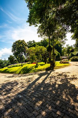 Chiang Rai bölgesindeki Doi Tung Kraliyet Konağı 'nda güzel bir park..
