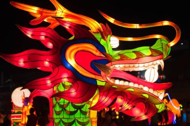 Tayland 'da gece lambasıyla vurulan ejderha başı..