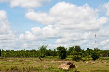 Tarla ve kulübe Tayland 'da..