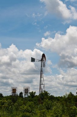 Tayland 'da yeşil alan ve yaban değirmeni