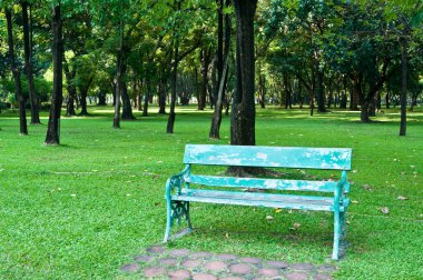 Tayland 'ın güzel parkında banklar ve ağaçlar.
