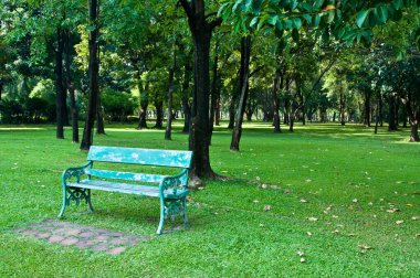 Tayland 'ın güzel parkında banklar ve ağaçlar.