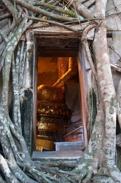 An ancient church that was covered with root for a long time at Wat Bang Kung.