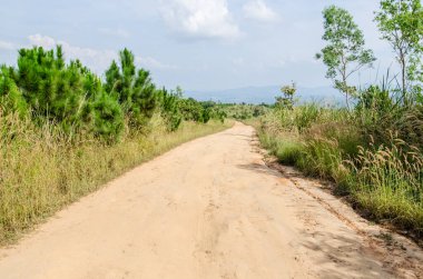 Doğadaki köy yolu, Tayland