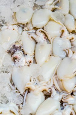 Taze mürekkep balığı taze pazarda, Tayland