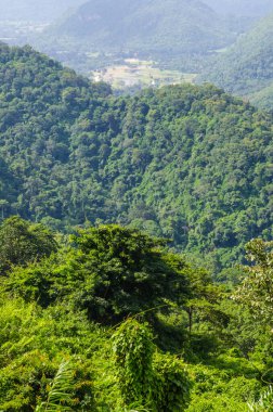 Tayland 'daki ulusal parka bakış açısı.