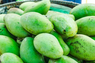 Taze yeşil mango meyvesi, Tayland.