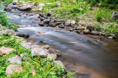 Doğada akan güzel su, Tayland