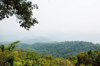 Uçurumun manzarası, Tayland