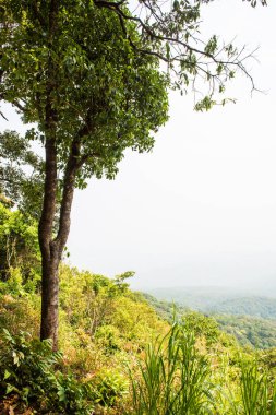 Uçurumun manzarası, Tayland