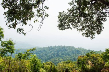 Uçurumun manzarası, Tayland
