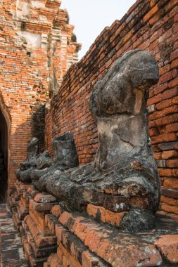 Tayland Chaiwathanaram Tapınağı manzarası