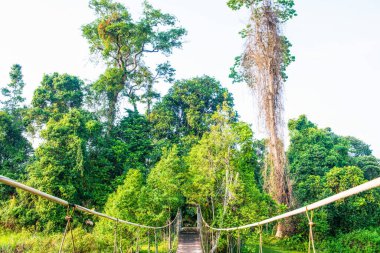 halat köprü Milli Park, Tayland