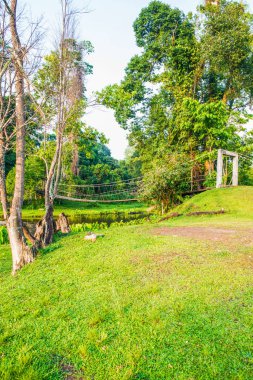 halat köprü Milli Park, Tayland