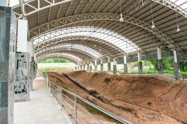 Taşlaşmış Orman Parkında Taşlaşmış Orman, Tayland