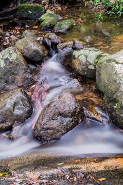 Tayland ulusal parkında akan güzel su