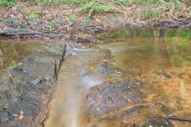 Tayland 'daki Pang Sida şelalesinde akan sular