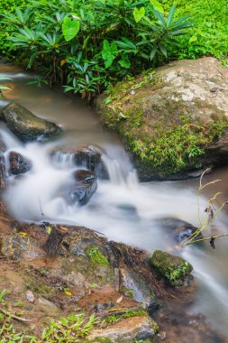 Maesa Noi Şelalesi 'nde akan güzel su, Tayland