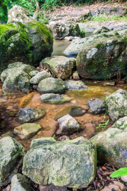 Tayland 'daki ulusal parkta kayalar ve su akışı