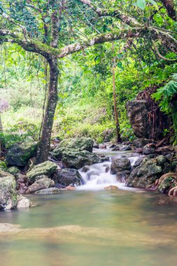 Ulusal Park, Tayland 'daki Şelale manzarası