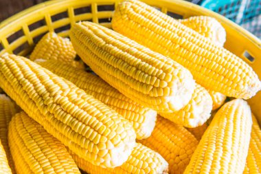 Taze tatlı mısır, Tayland