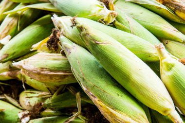 Taze tatlı mısır, Tayland