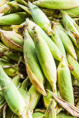 Taze tatlı mısır, Tayland