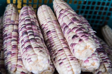 Naylon sepette taze mısır, Tayland