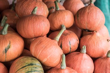 Taze balkabakları satışta, Tayland.