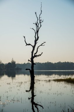 Tayland 'ın Chiangmai ilindeki Huay Tueng Tao gölünün manzara manzarası.