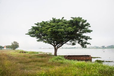 Phayao Gölü veya Kwan Phayao, Tayland 'da kış mevsiminde.