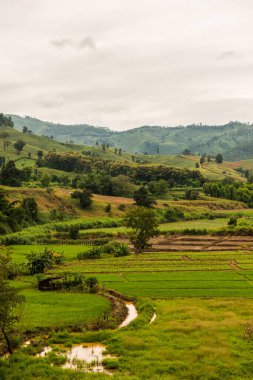 Chiang Rai Eyaleti, Tayland Doğal Manzarası.