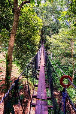 Mae Fah Luang Bahçesinde Ağaç Tepesi Yürüyüşü, Chiang Rai.